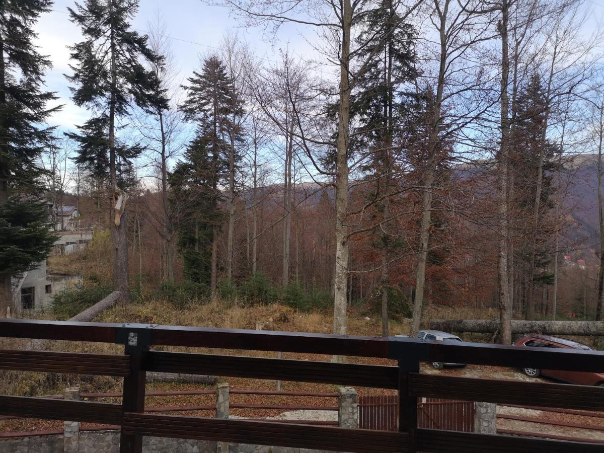 Vila Ines Sinaia Esterno foto