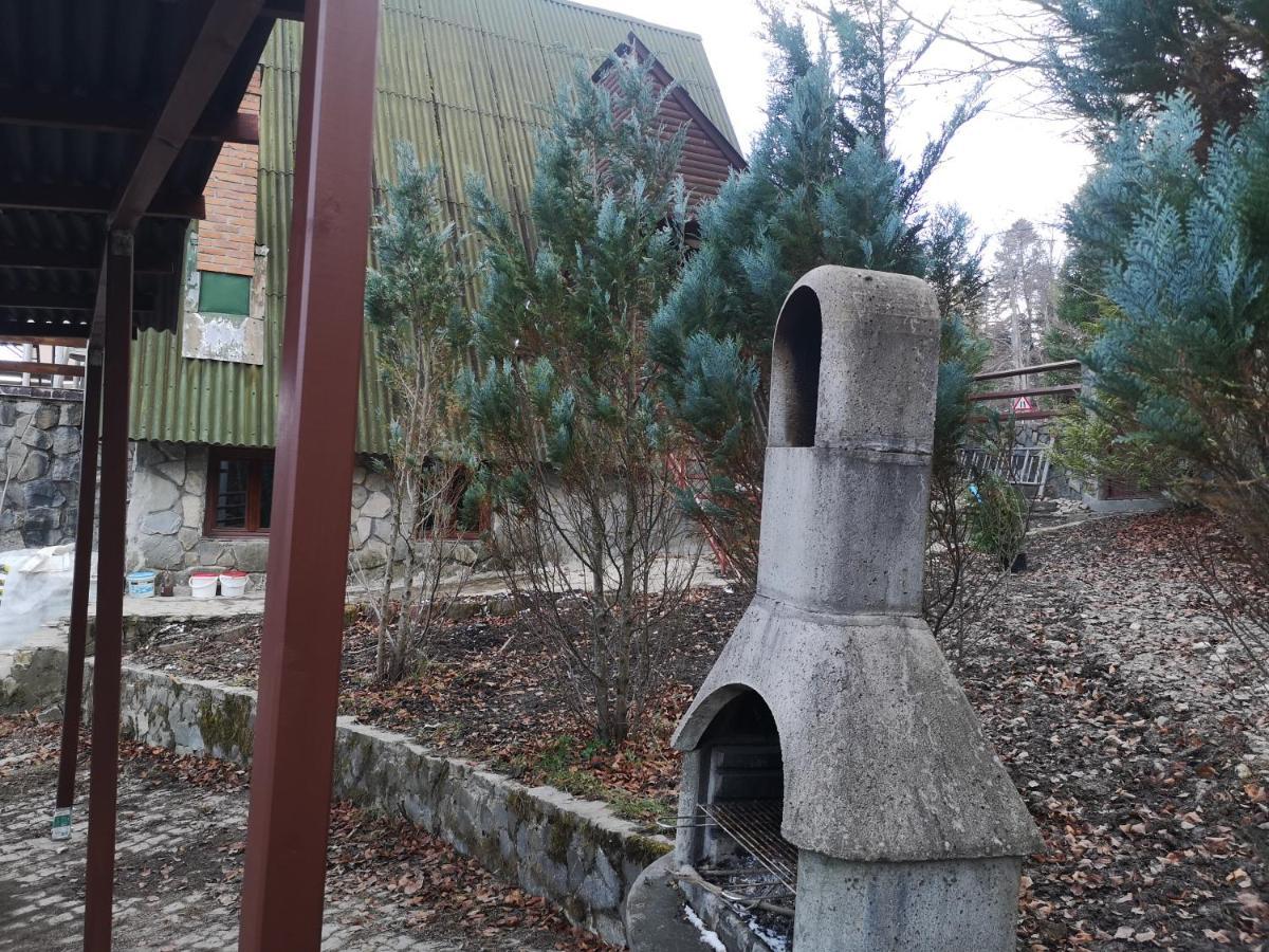 Vila Ines Sinaia Esterno foto