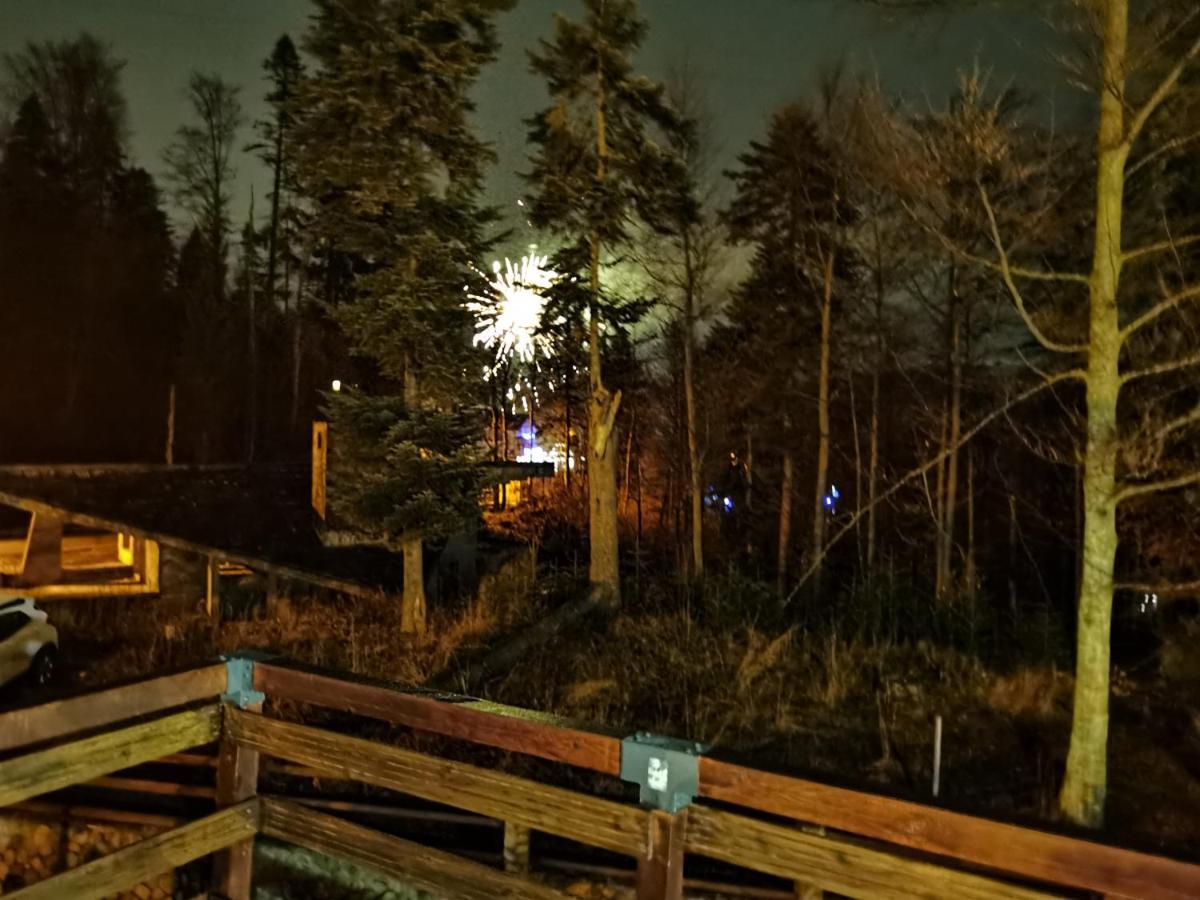 Vila Ines Sinaia Esterno foto