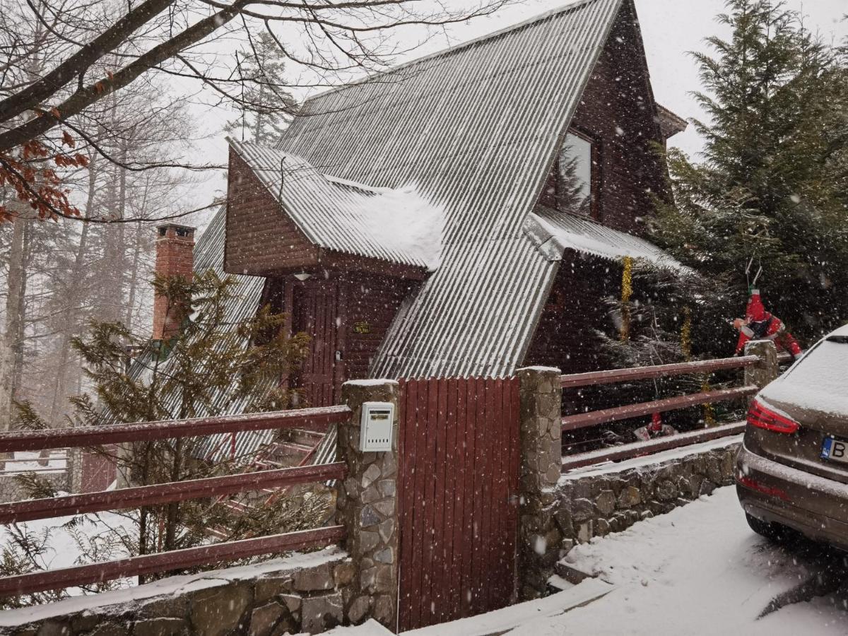 Vila Ines Sinaia Esterno foto
